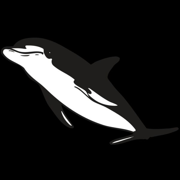 AR DOLPIN 13 RC Thumbnail