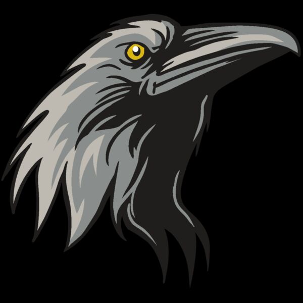 AR31 RAVEN 01 RQC Thumbnail